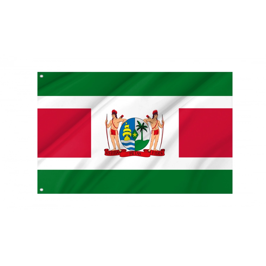 Flag of President of Suriname, Unique Design Print, Flags for Indoor & Outdoor Use