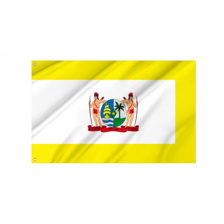 Flag of Standard of Prime Minister of Suriname, Patriotic Flags, Unique Design Print, Flags for Indoor & Outdoor Use
