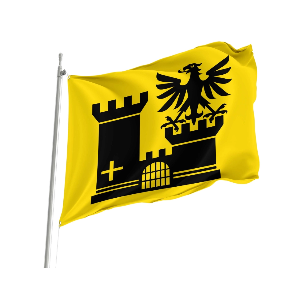 Aarburg Flag for Indoor & Outdoor Use