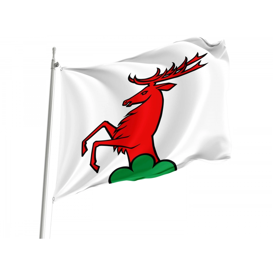 Ammerswil Flag for Indoor & Outdoor Use, AG05