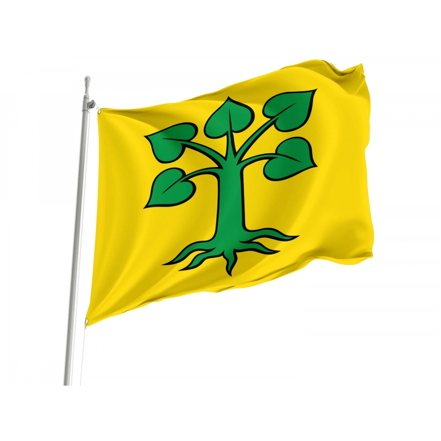 Beinwil (Freiamt) Flag for Indoor & Outdoor Use, AG11