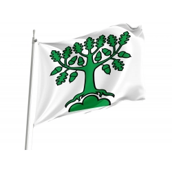 Bergdietikon Flag for Indoor & Outdoor Use