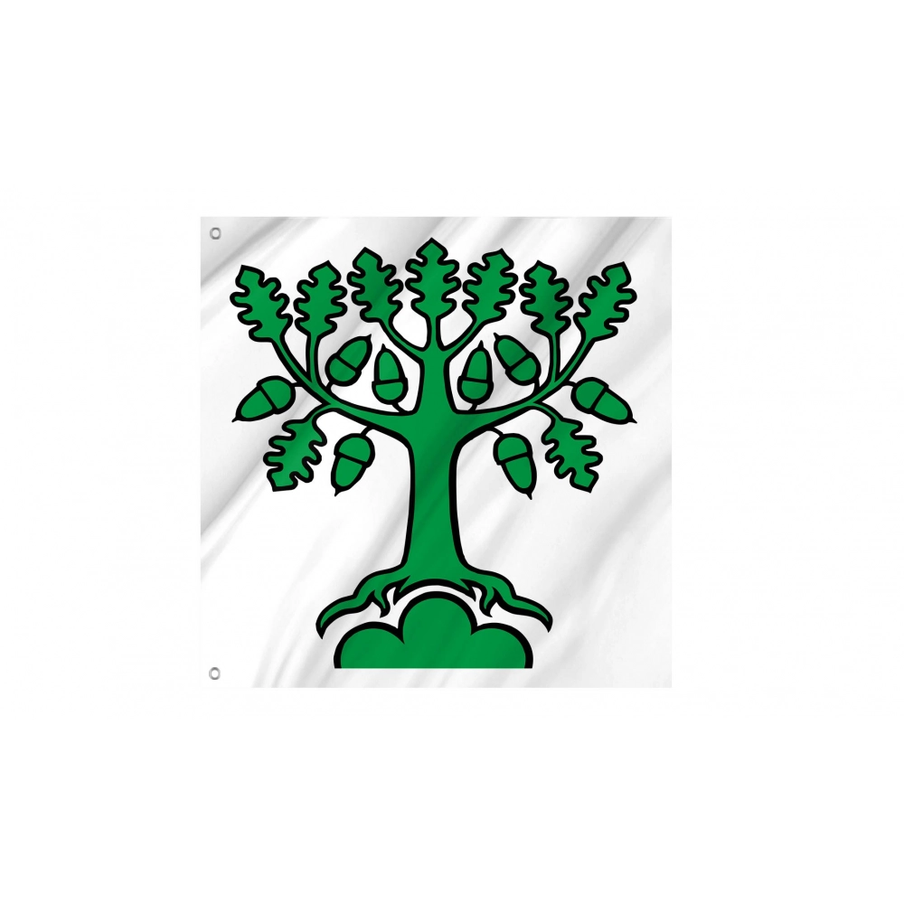 Bergdietikon Flag for Indoor & Outdoor Use