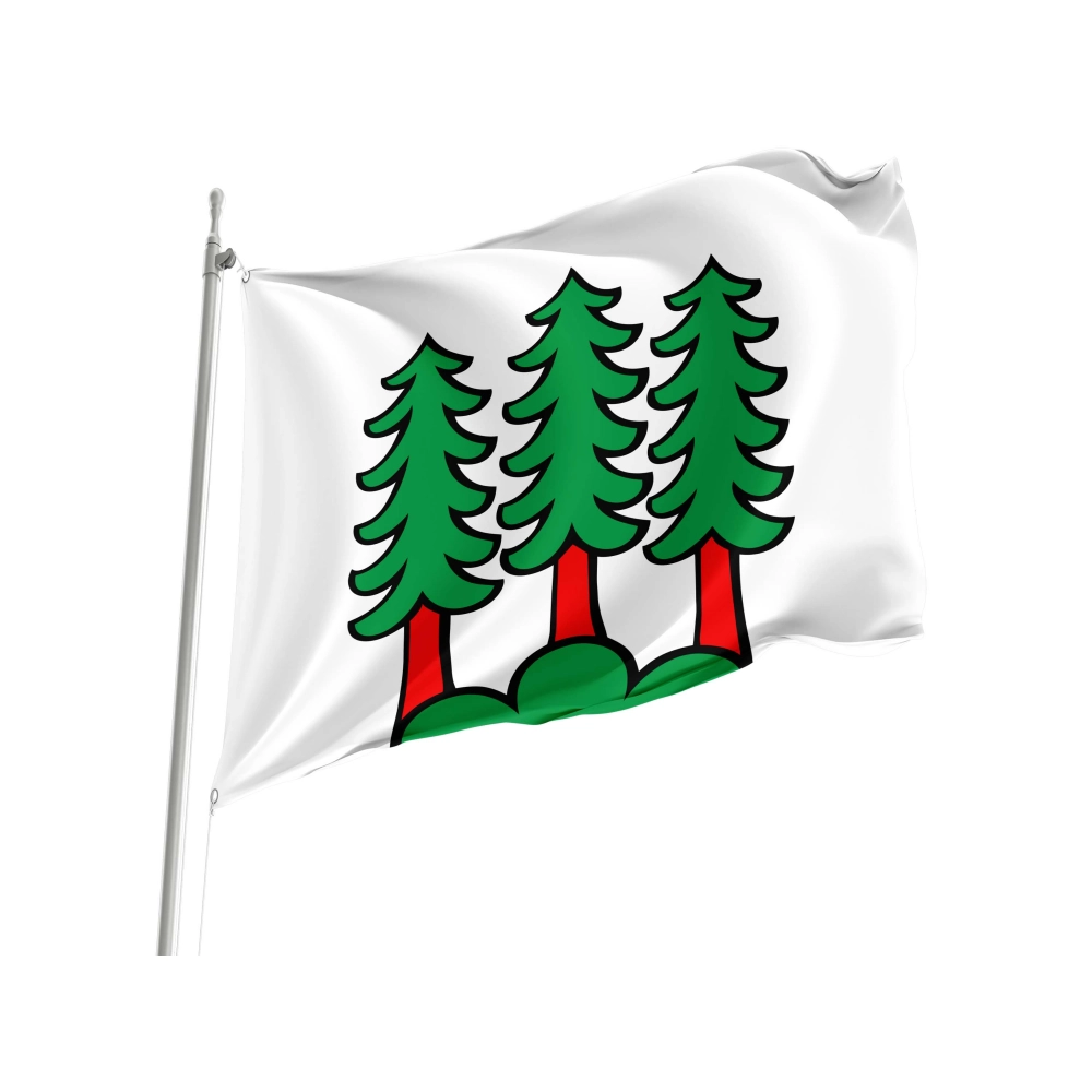 Bettwil Flag for Indoor & Outdoor Use