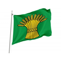 Birmenstorf Flag for Indoor & Outdoor Use