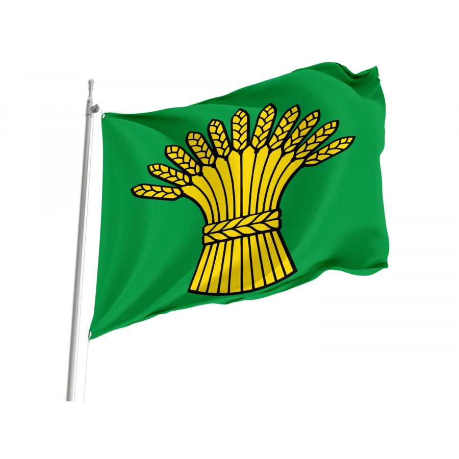 Birmenstorf Flag for Indoor & Outdoor Use, AG19