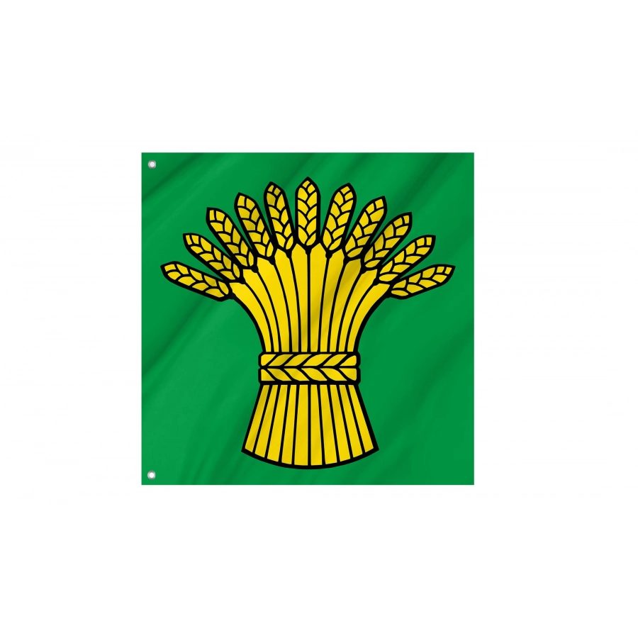 Birmenstorf Flag for Indoor & Outdoor Use, AG19