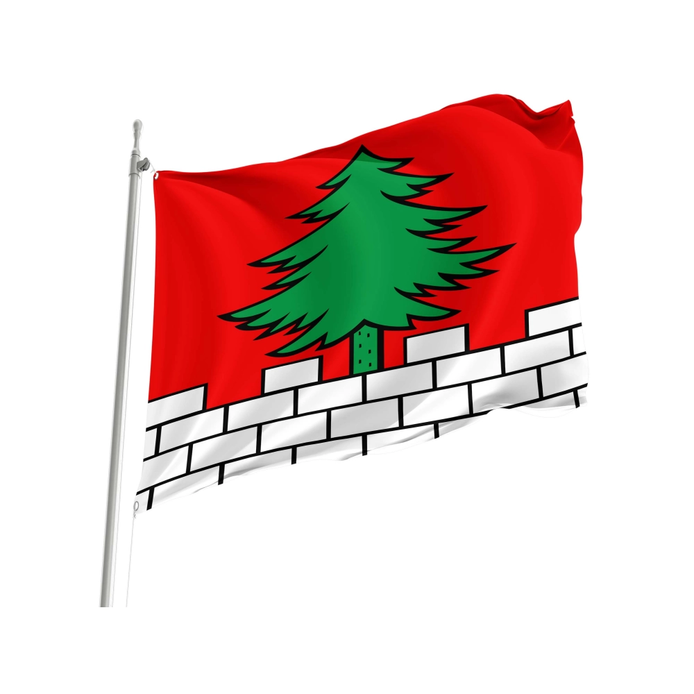 Bottenwil Flag for Indoor & Outdoor Use