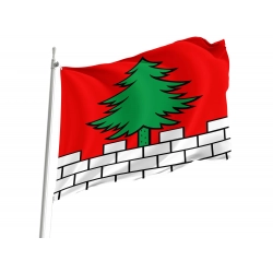 Bottenwil Flag for Indoor & Outdoor Use