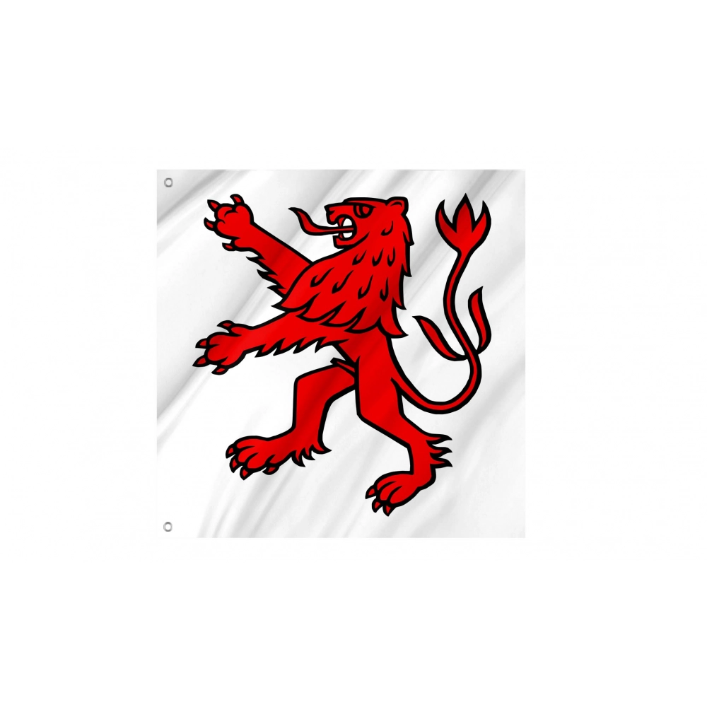 Bremgarten Flag for Indoor & Outdoor Use