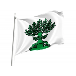 Buchs Flag for Indoor & Outdoor Use