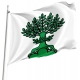 Buchs Flag for Indoor & Outdoor Use - Imagine 1