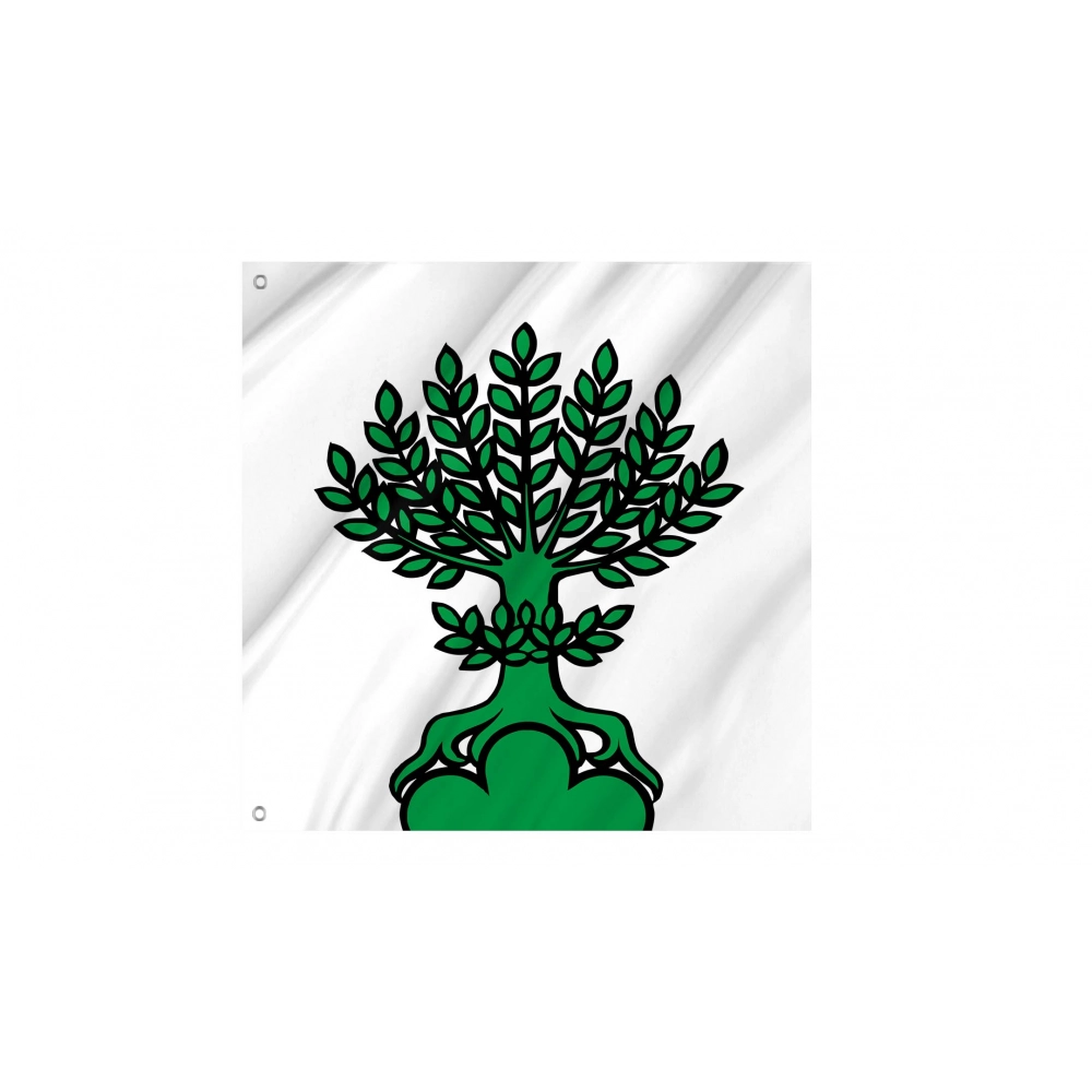 Buchs Flag for Indoor & Outdoor Use