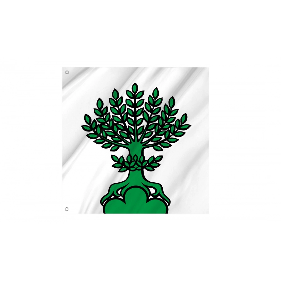 Buchs Flag for Indoor & Outdoor Use, AG33