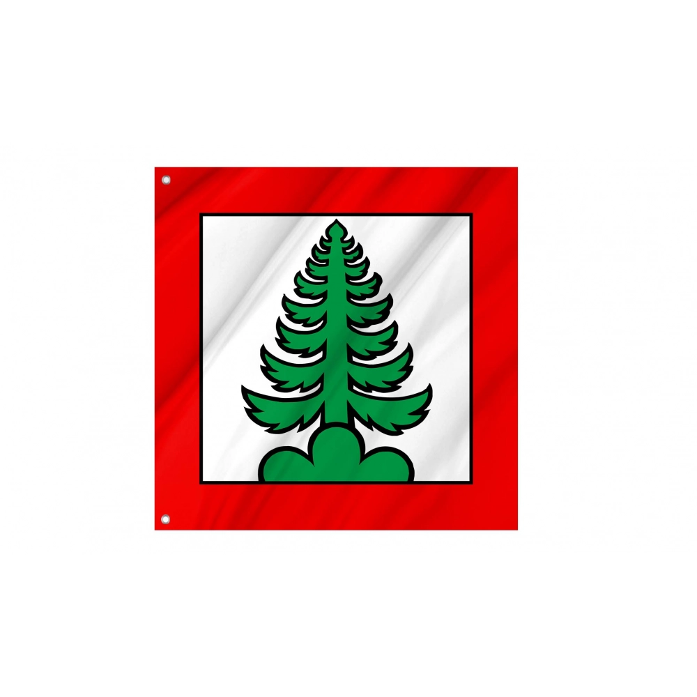 Densbüren Flag for Indoor & Outdoor Use