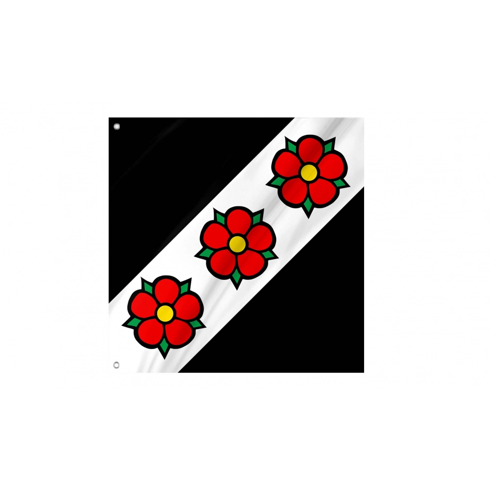 Dintikon Flag for Indoor & Outdoor Use