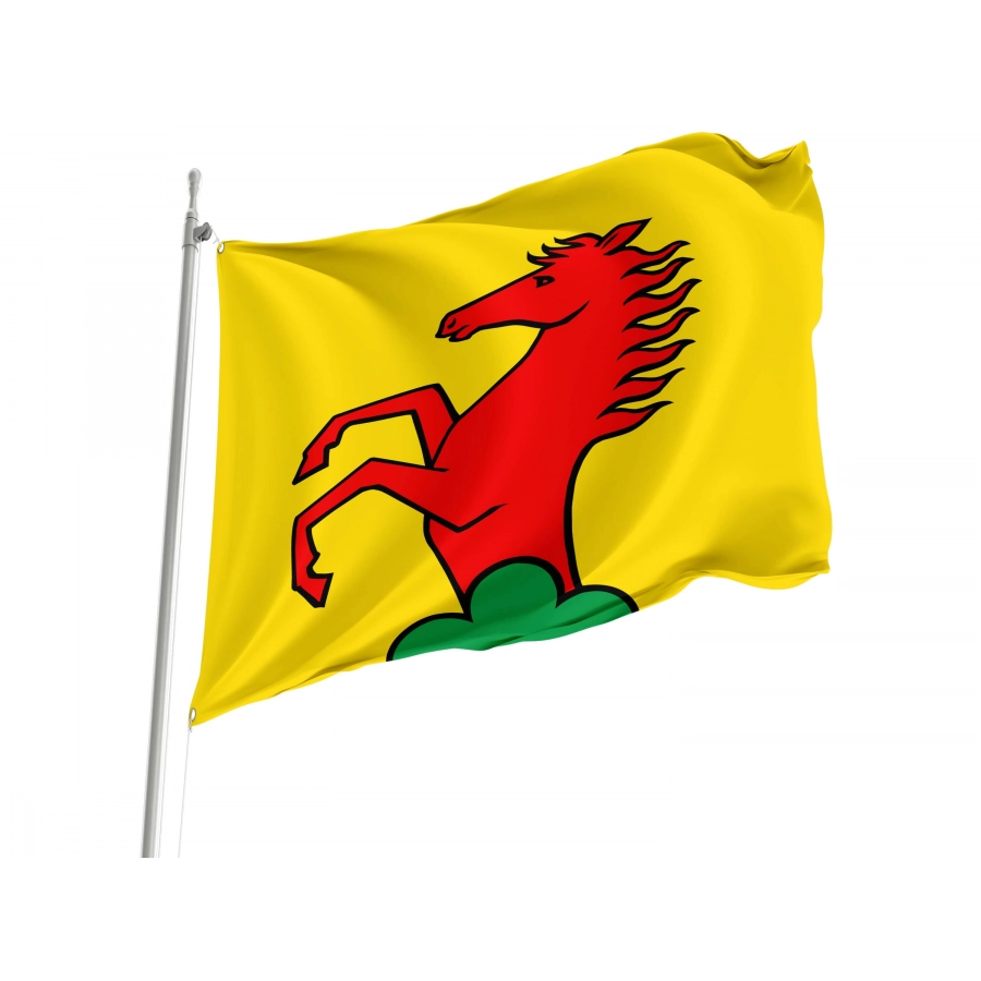 Dottikon Flag for Indoor & Outdoor Use, AG40