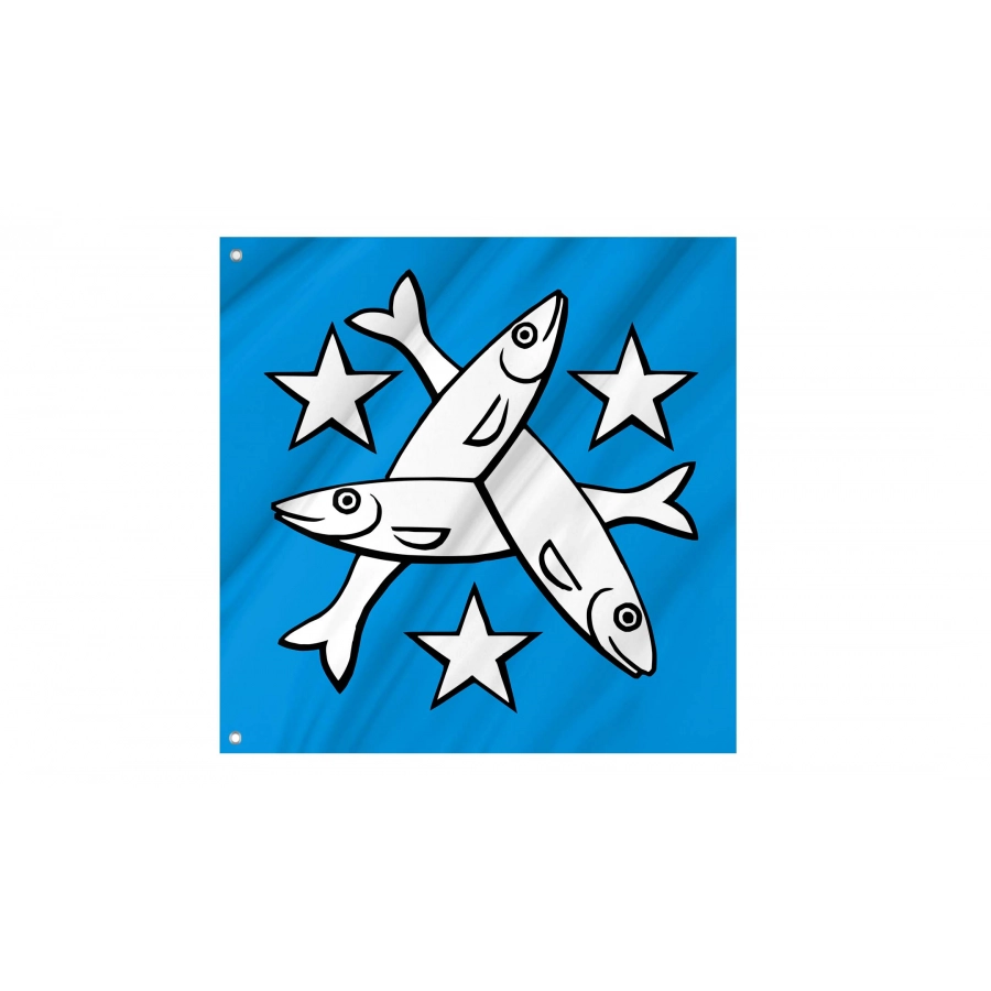 Egliswil Flag for Indoor & Outdoor Use, AG44