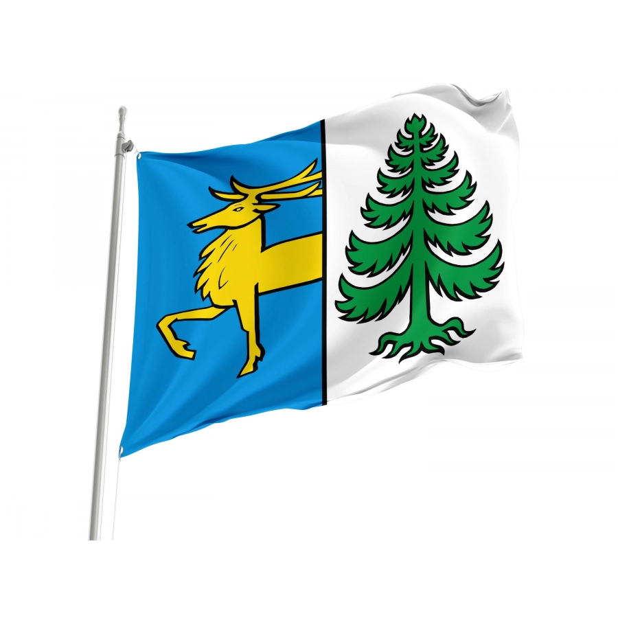 Ehrendingen Flag for Indoor & Outdoor Use, AG45