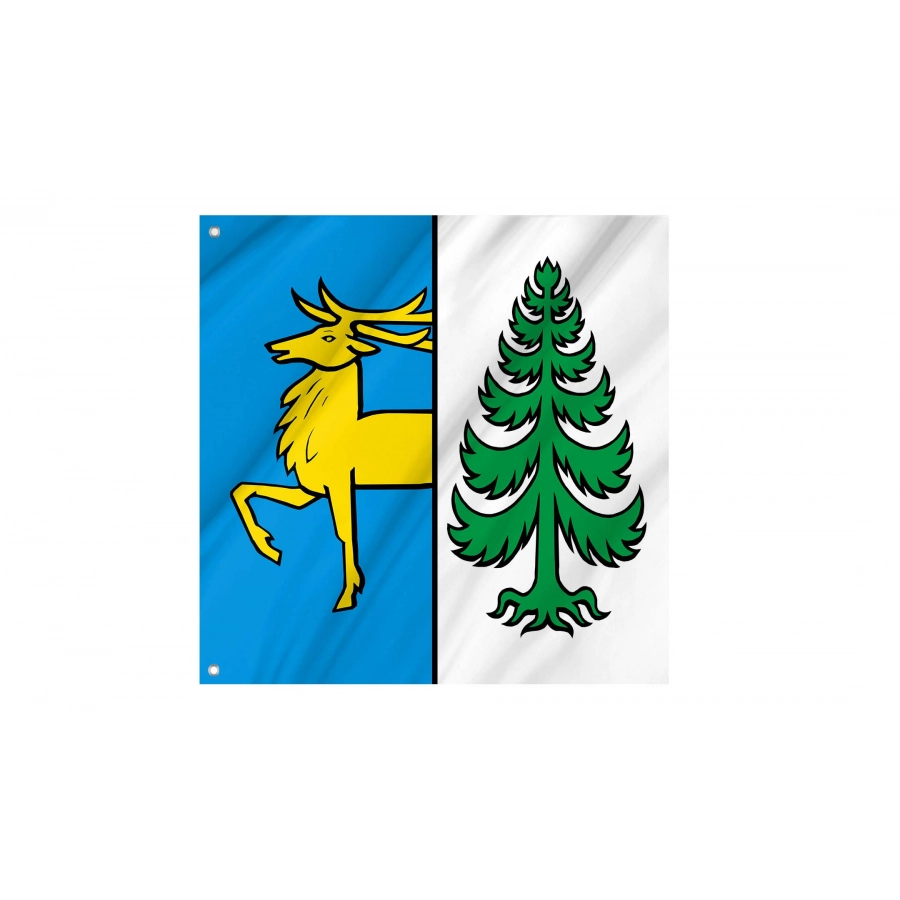 Ehrendingen Flag for Indoor & Outdoor Use, AG45