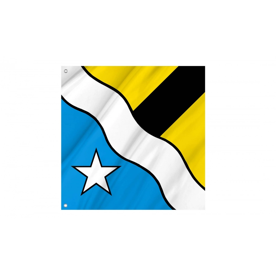 Erlinsbach Flag for Indoor & Outdoor Use, AG49