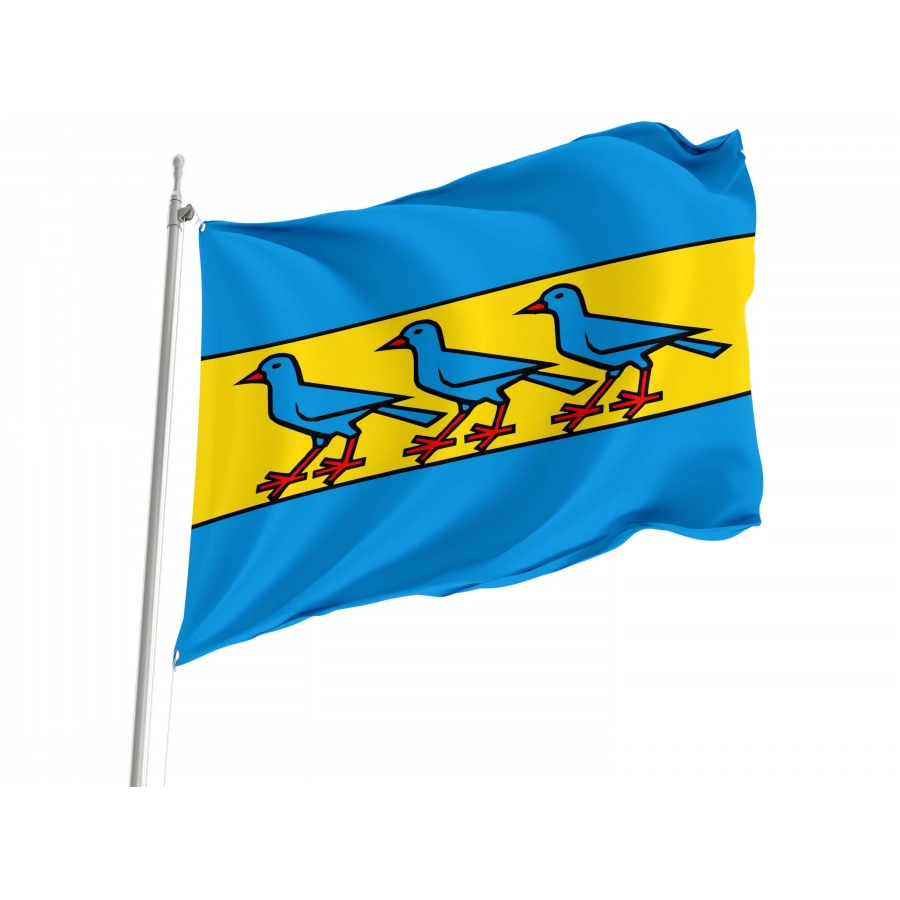 Fisibach Flag for Indoor & Outdoor Use, AG52