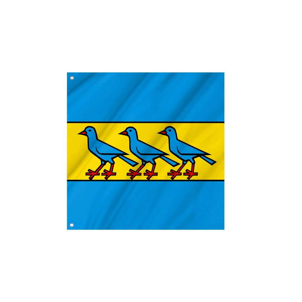 Fisibach Flag for Indoor & Outdoor Use