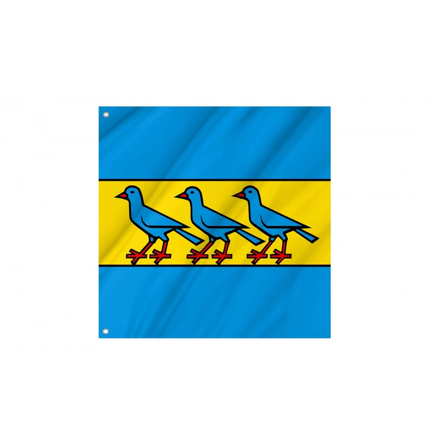 Fisibach Flag for Indoor & Outdoor Use, AG52