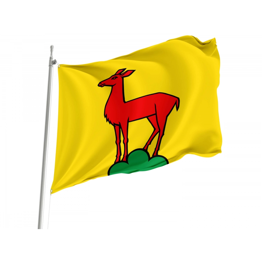 Gipf-Oberfrick Flag for Indoor & Outdoor Use, AG60