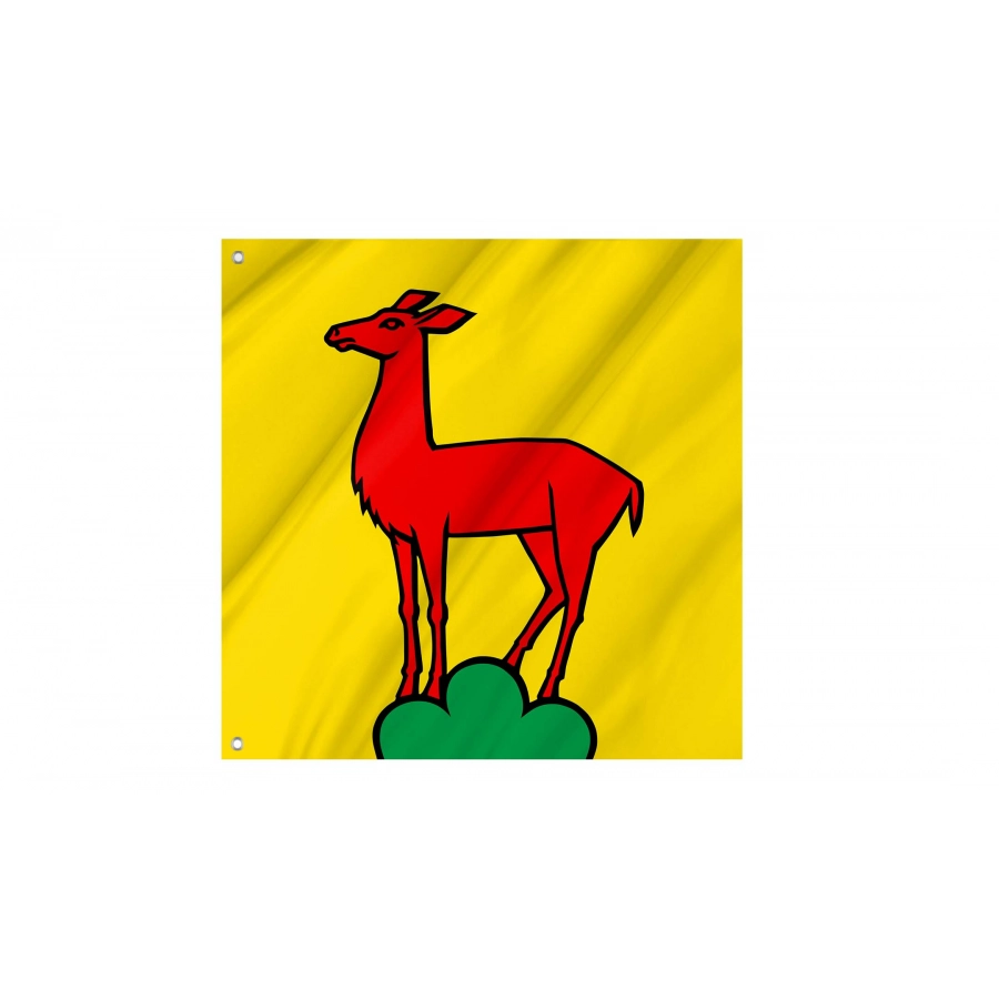 Gipf-Oberfrick Flag for Indoor & Outdoor Use, AG60