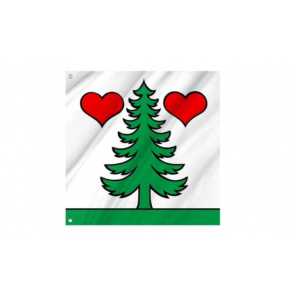 Gontenschwil Flag for Indoor & Outdoor Use