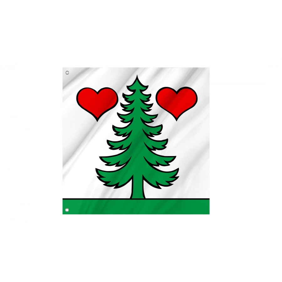 Gontenschwil Flag for Indoor & Outdoor Use, AG61