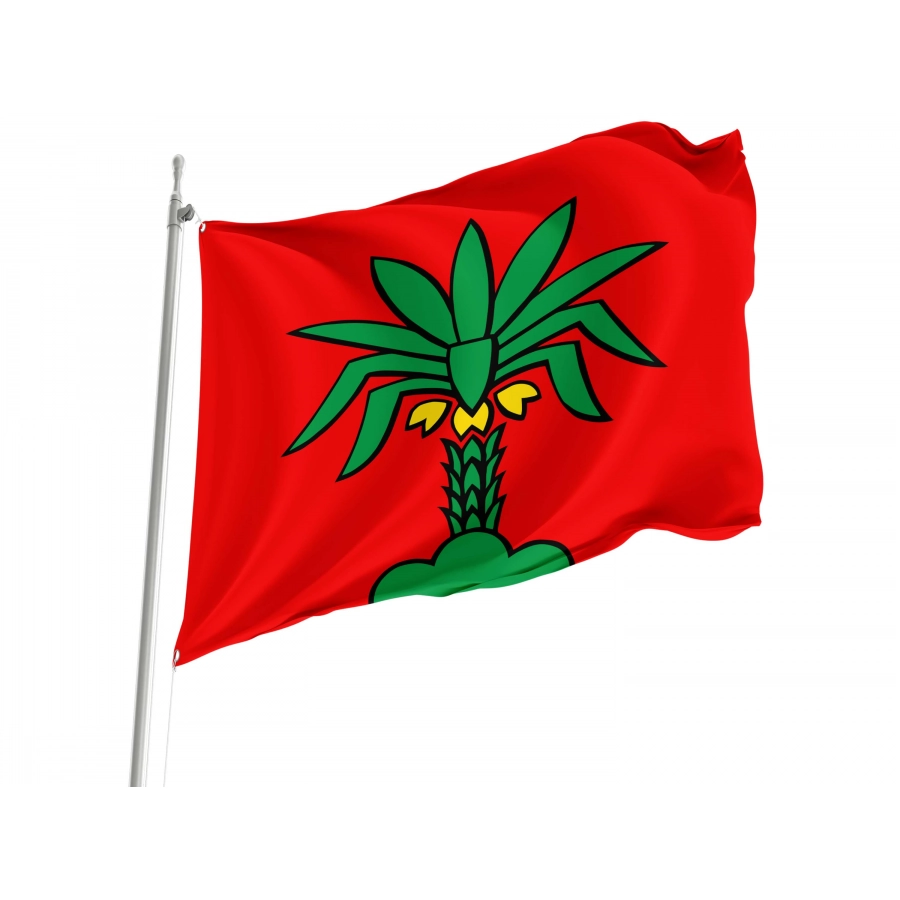 Hallwil Flag for Indoor & Outdoor Use, AG65