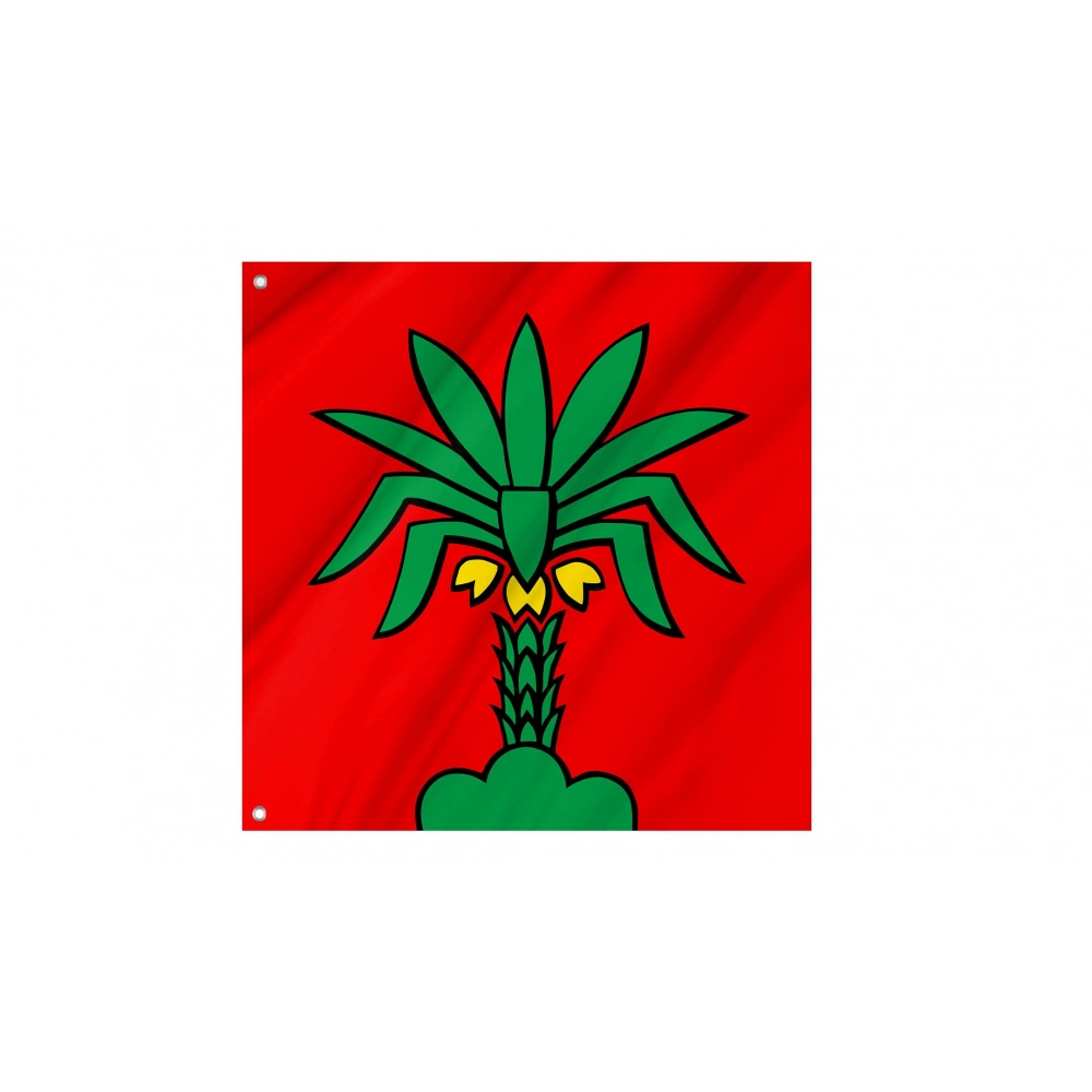 Hallwil Flag for Indoor & Outdoor Use