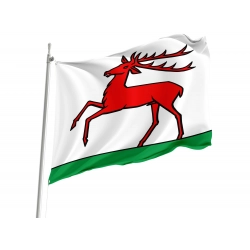 Hirschthal Flag for Indoor & Outdoor Use