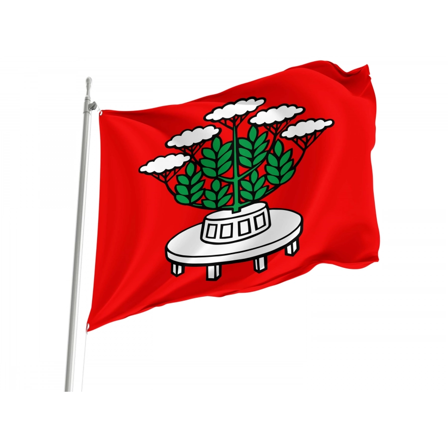 Holderbank Flag for Indoor & Outdoor Use, AG71