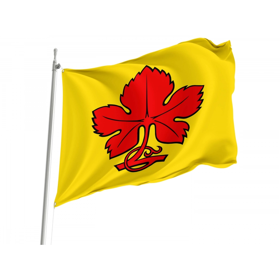 Kaisten Flag for Indoor & Outdoor Use, AG78