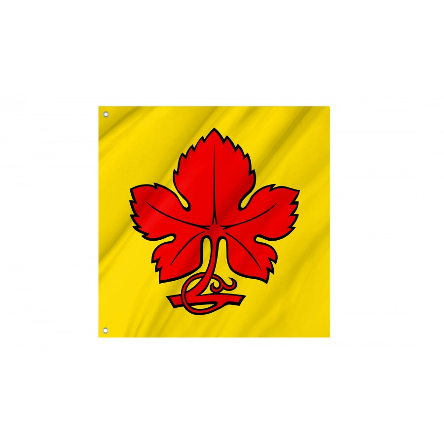 Kaisten Flag for Indoor & Outdoor Use, AG78