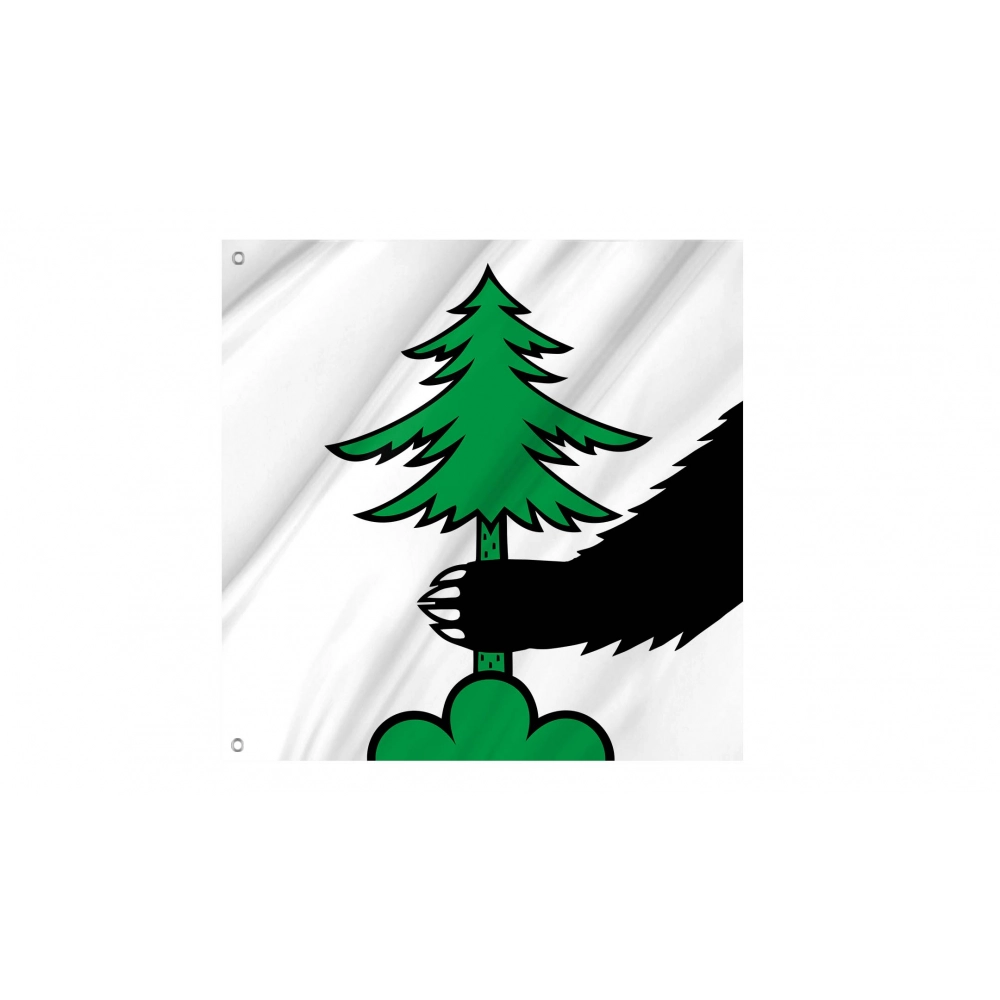 Kölliken Flag for Indoor & Outdoor Use