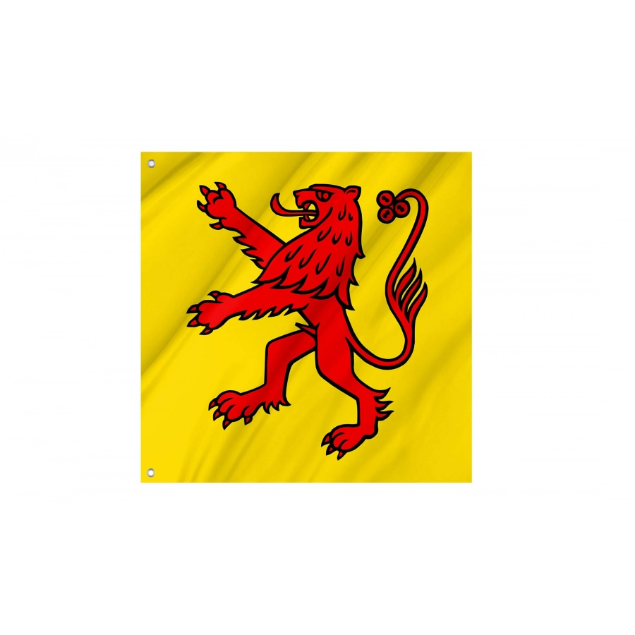 Laufenburg Flag for Indoor & Outdoor Use, AG86