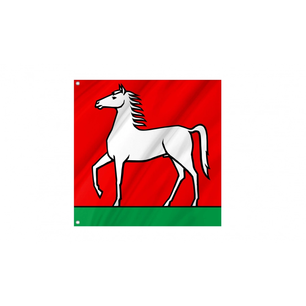 Lengnau Flag for Indoor & Outdoor Use