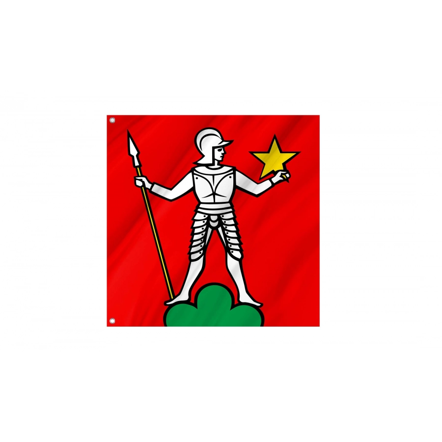 Menziken Flag for Indoor & Outdoor Use, AG100