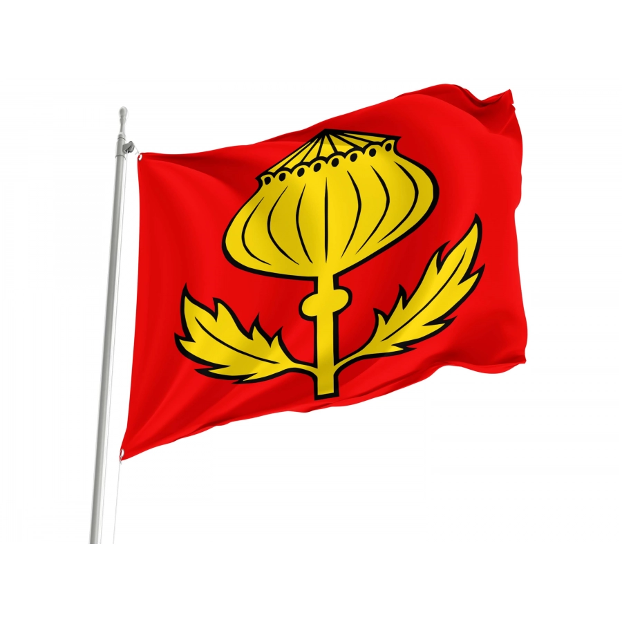 Mägenwil Flag for Indoor & Outdoor Use, AG95