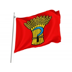 Möhlin Flag for Indoor & Outdoor Use