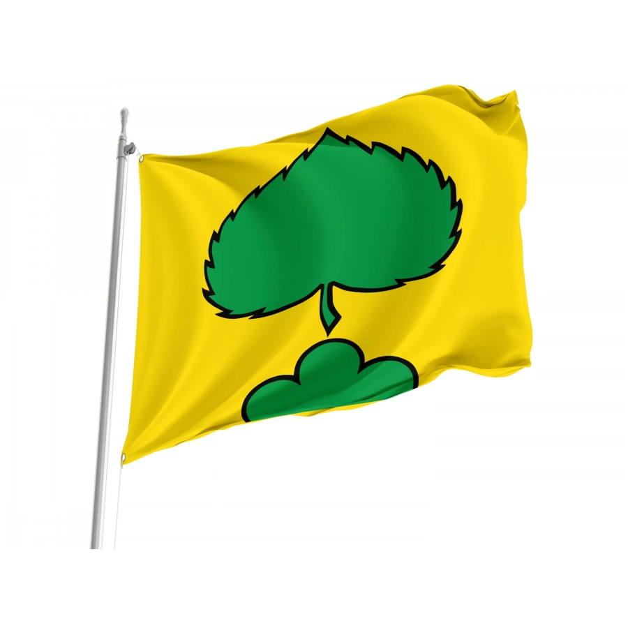 Niederlenz Flag for Indoor & Outdoor Use, AG115