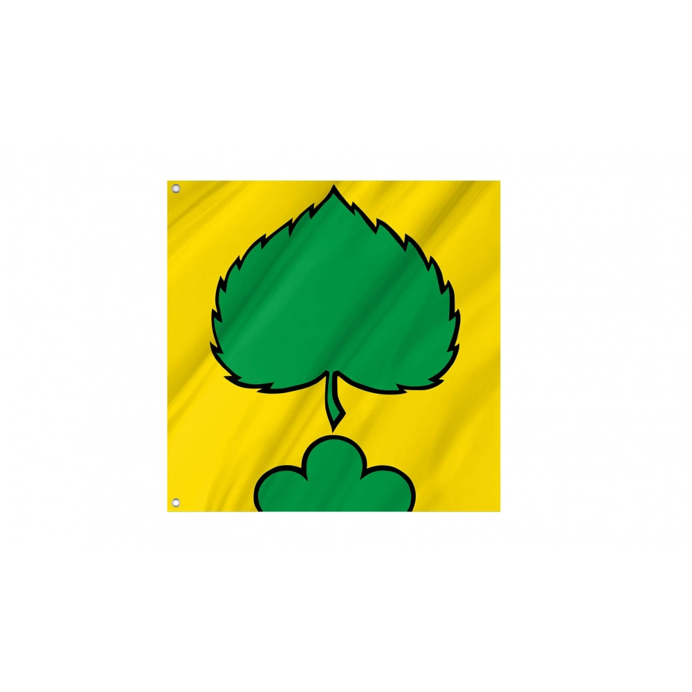 Niederlenz Flag for Indoor & Outdoor Use