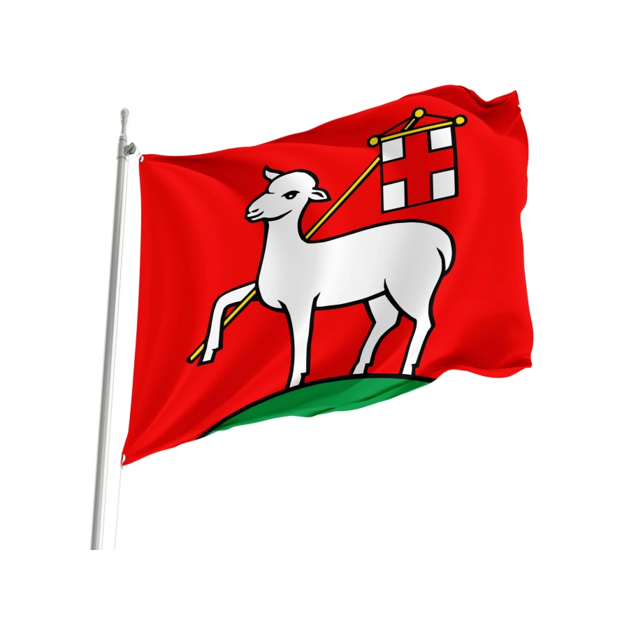 Niederrohrdorf Flag for Indoor & Outdoor Use, AG116