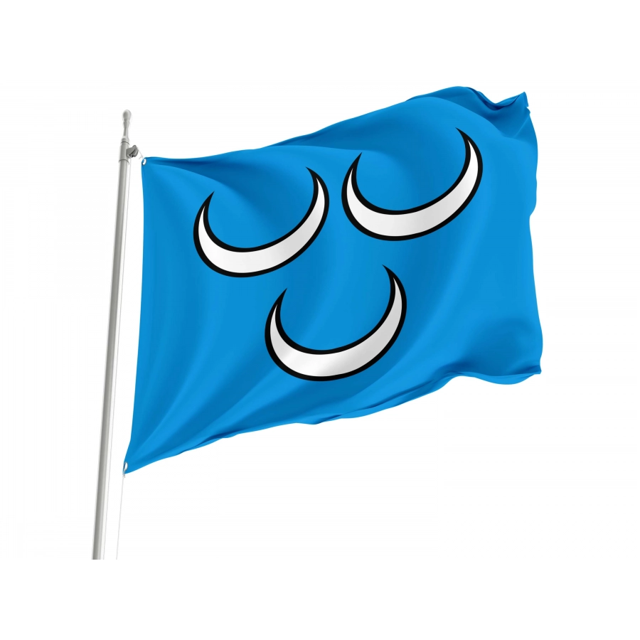 Oftringen Flag for Indoor & Outdoor Use, AG128