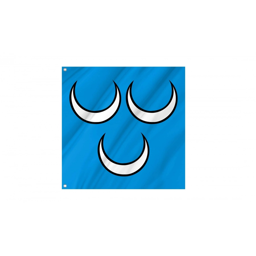 Oftringen Flag for Indoor & Outdoor Use, AG128