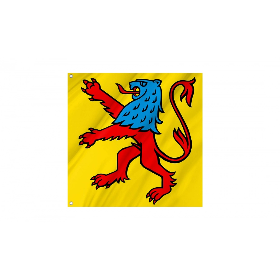 Reinach Flag for Indoor & Outdoor Use, AG131